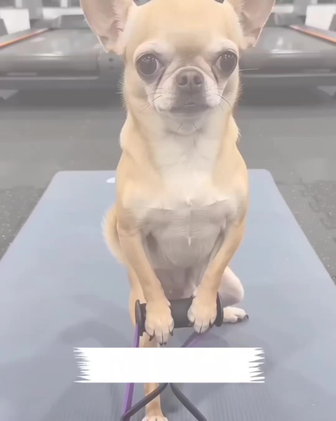 @My funny video