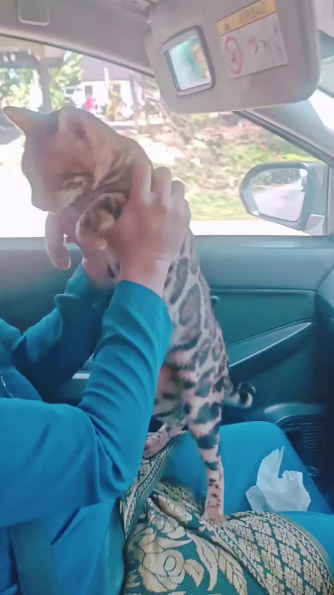 @𝙌𝙞𝙪