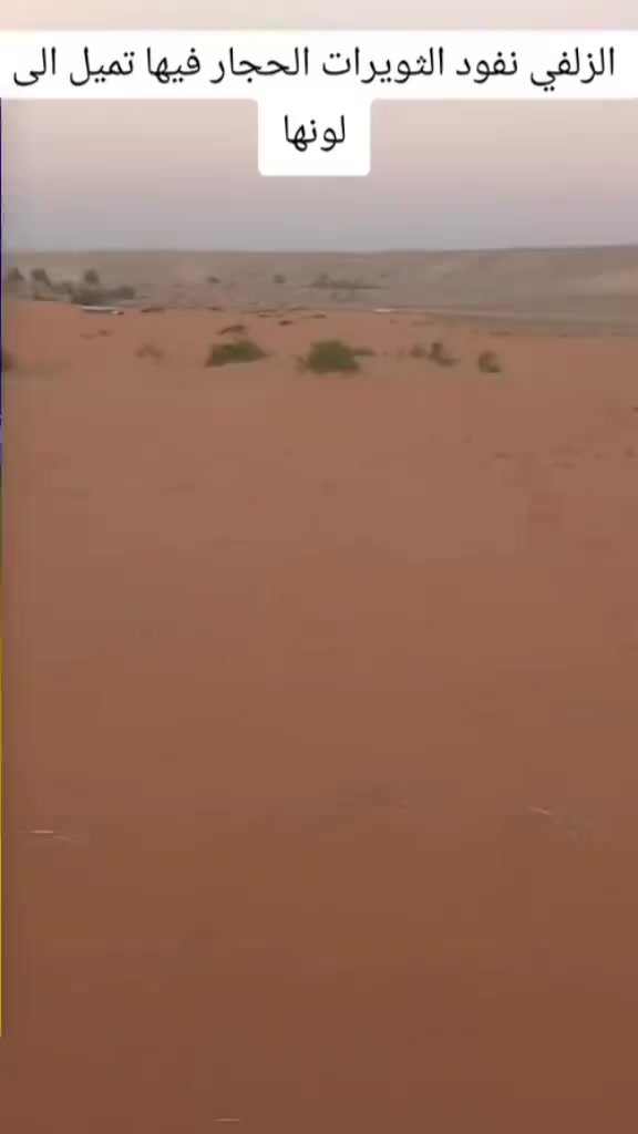 @عبدالله نجم سهيل