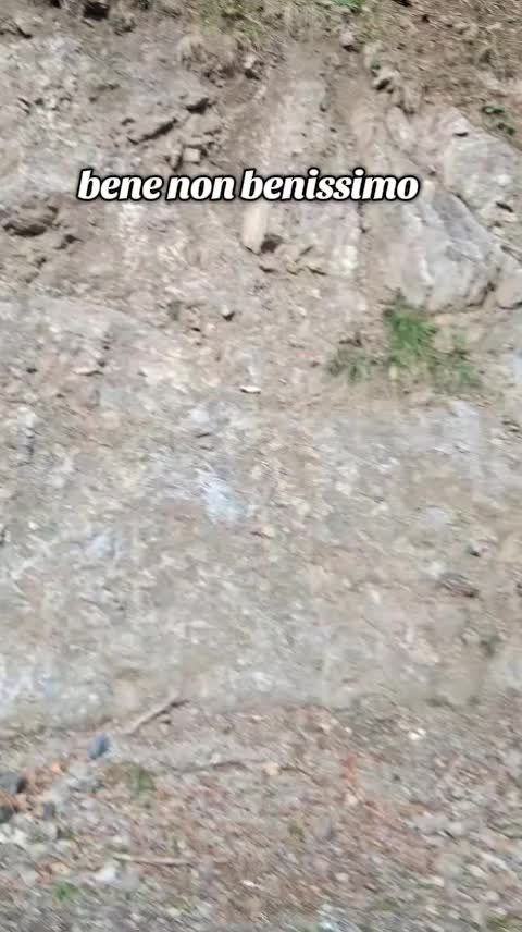 @lucagsxs1000