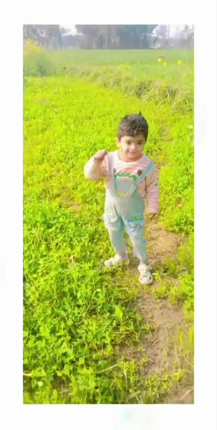 @MalikAsif6828