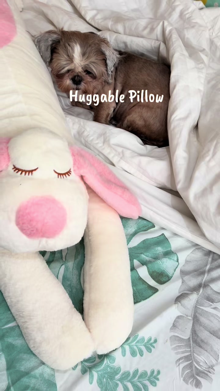 @Nella and Lucky the Shih🐶