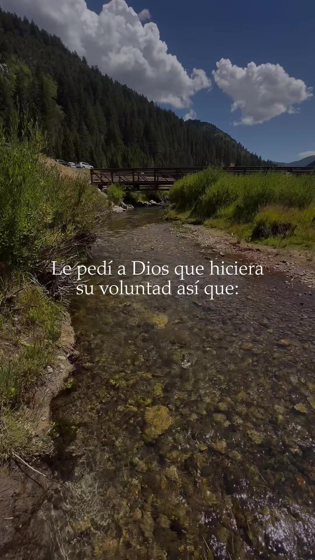 @✨Azucena Montt✨