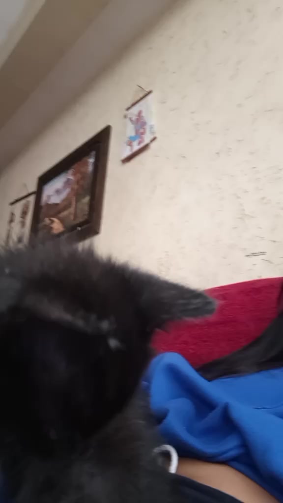 @la pepita XD