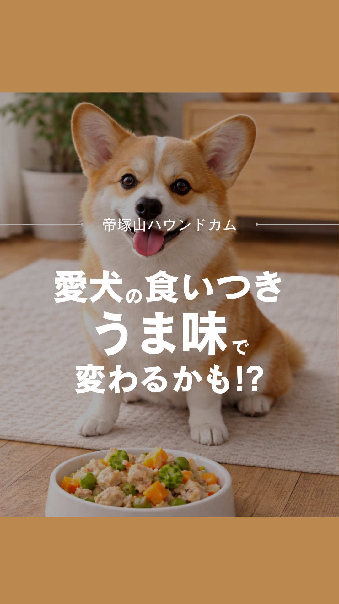 @帝塚山ハウンドカム
