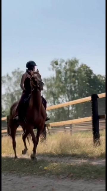 @КК "Фриз"🏇