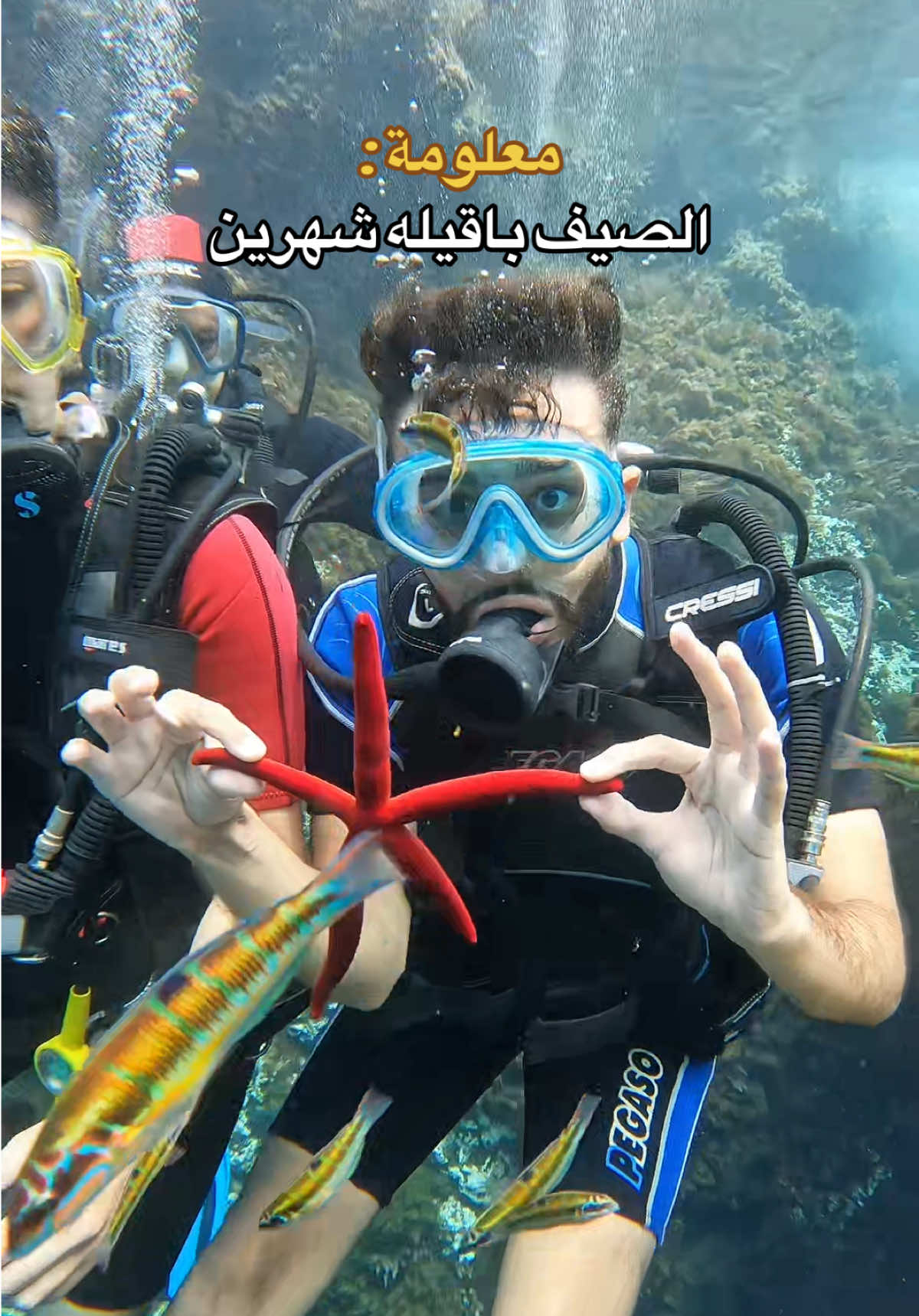 @swaper_fans