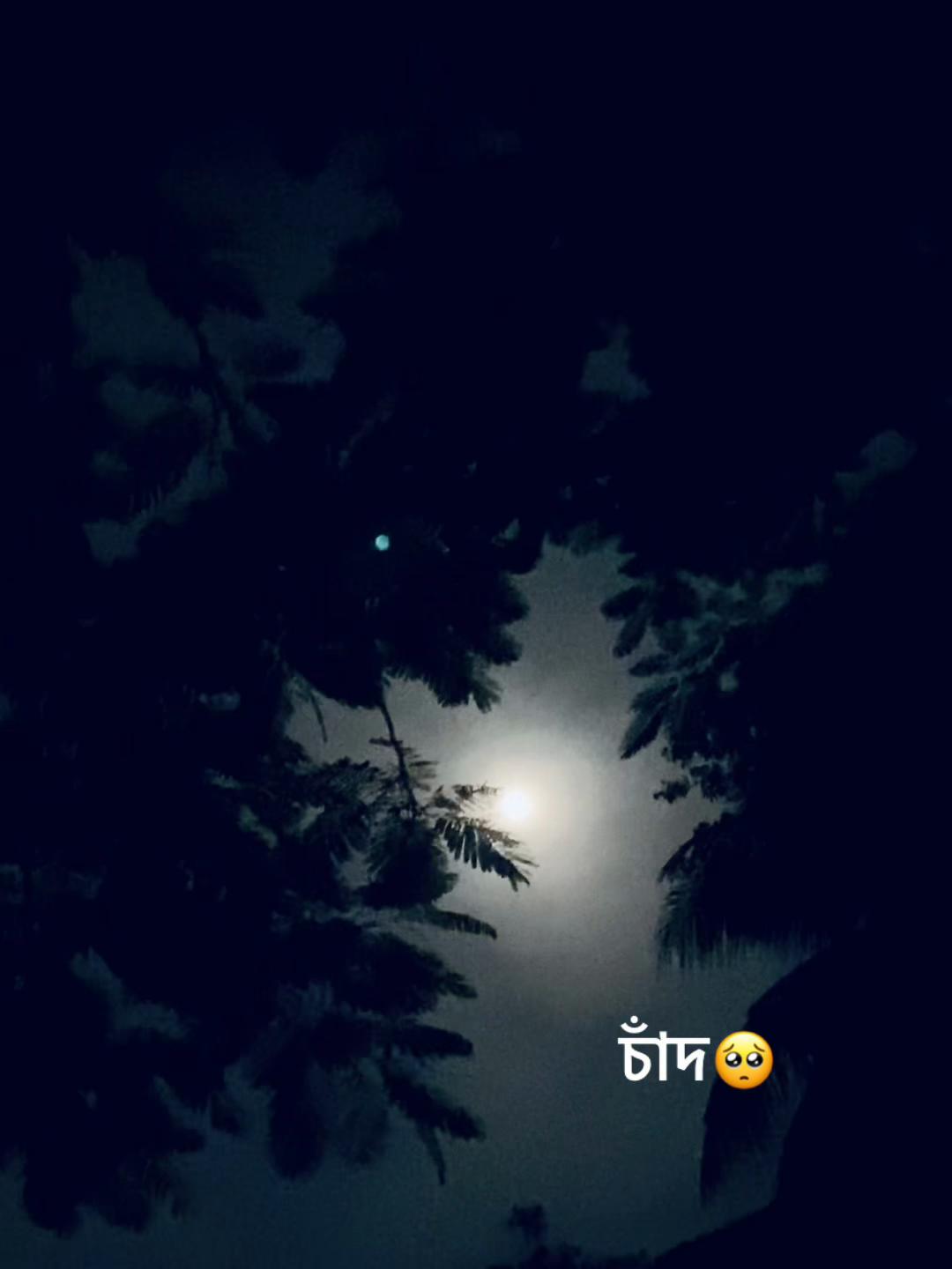 @Jibon⛎ (Kala)