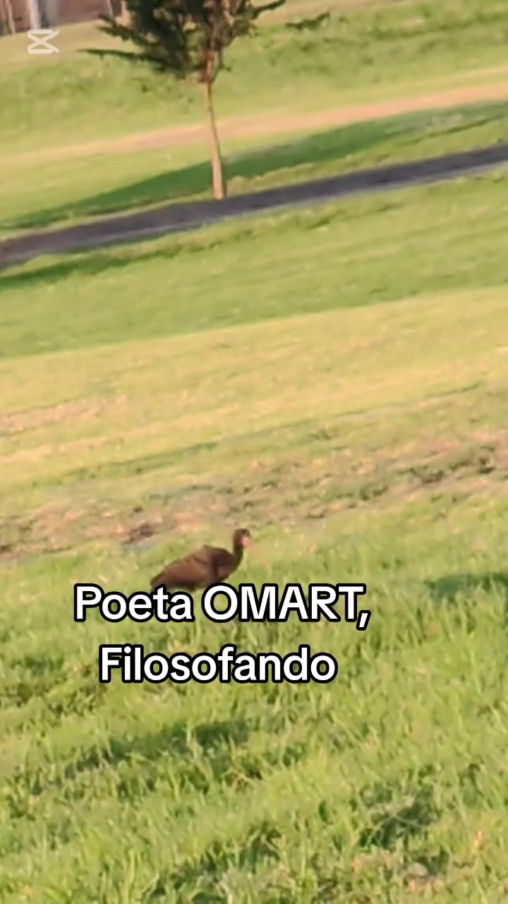 @luisomarfuentesve