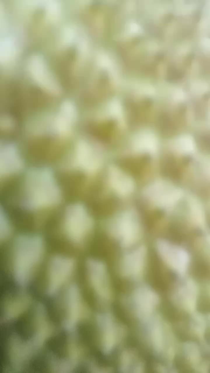 @🧿दि   पि    न  🧿