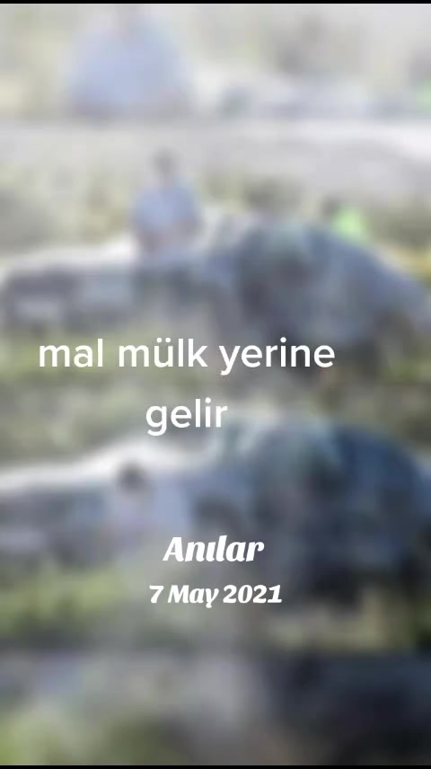 @zeliş