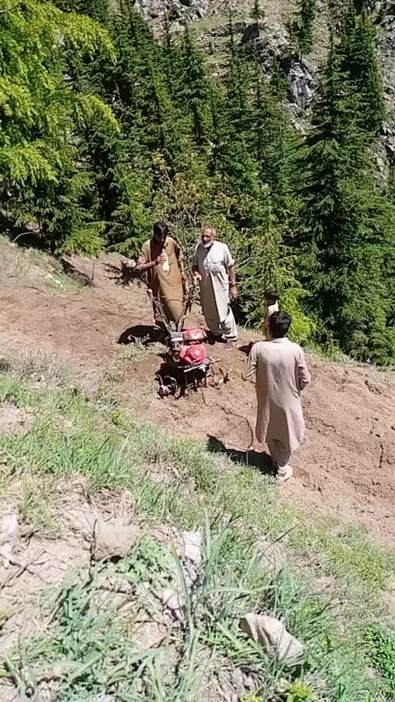 @jahangerkhan523
