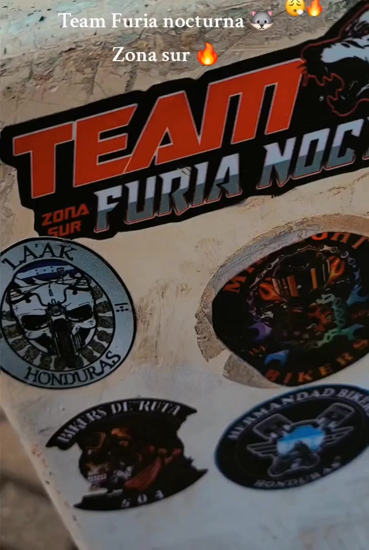 @Team Furia Nocturna