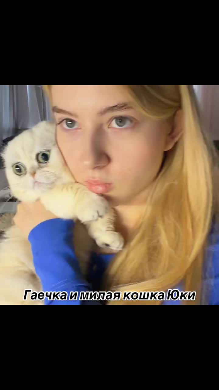 @TwiChiki