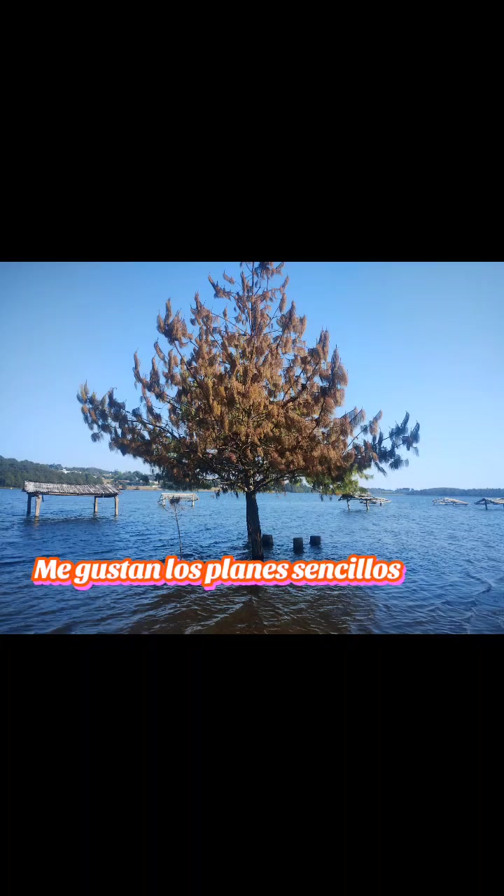 @MAR