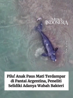 @mediaindonesia