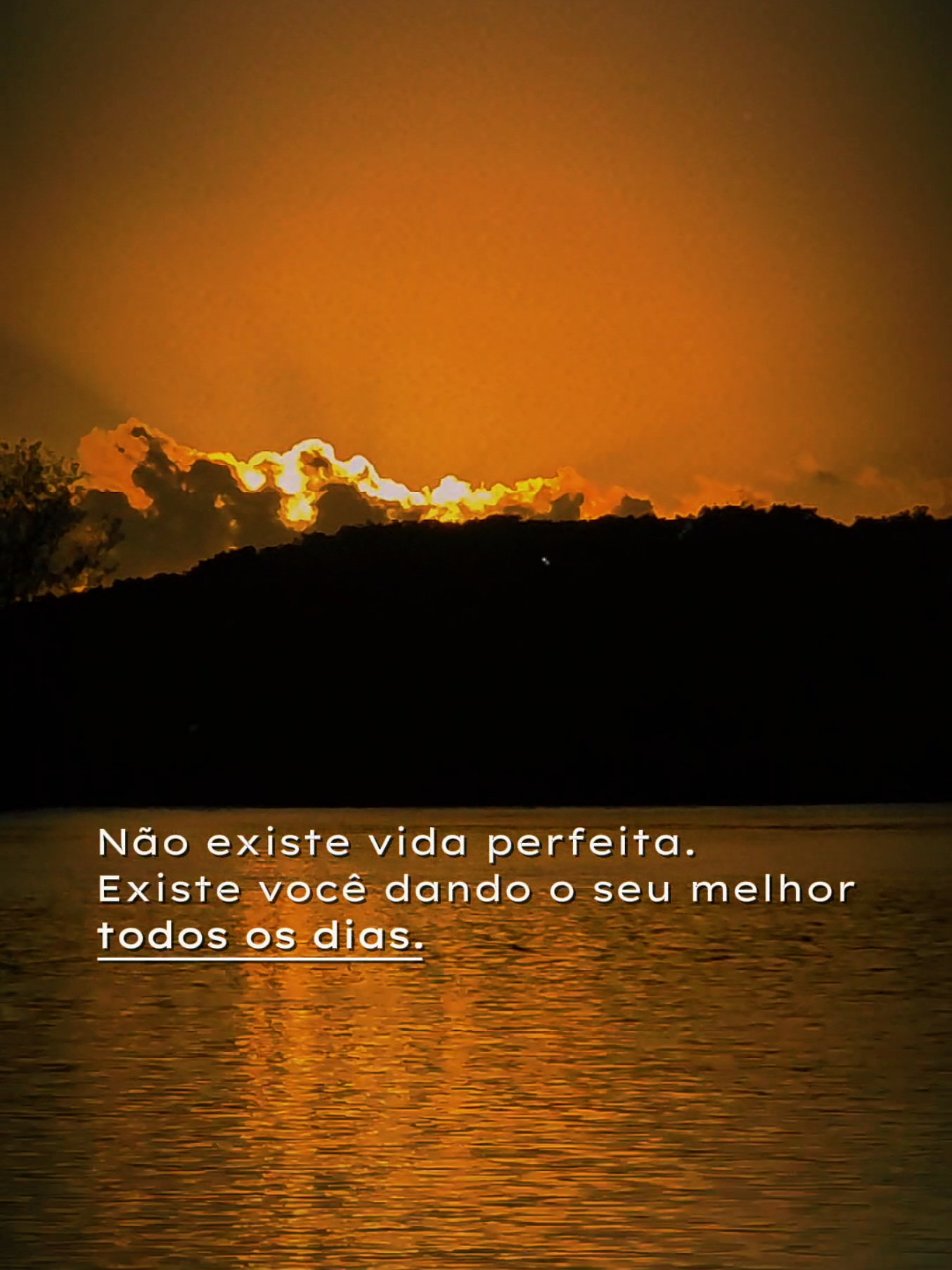 @robertoashley