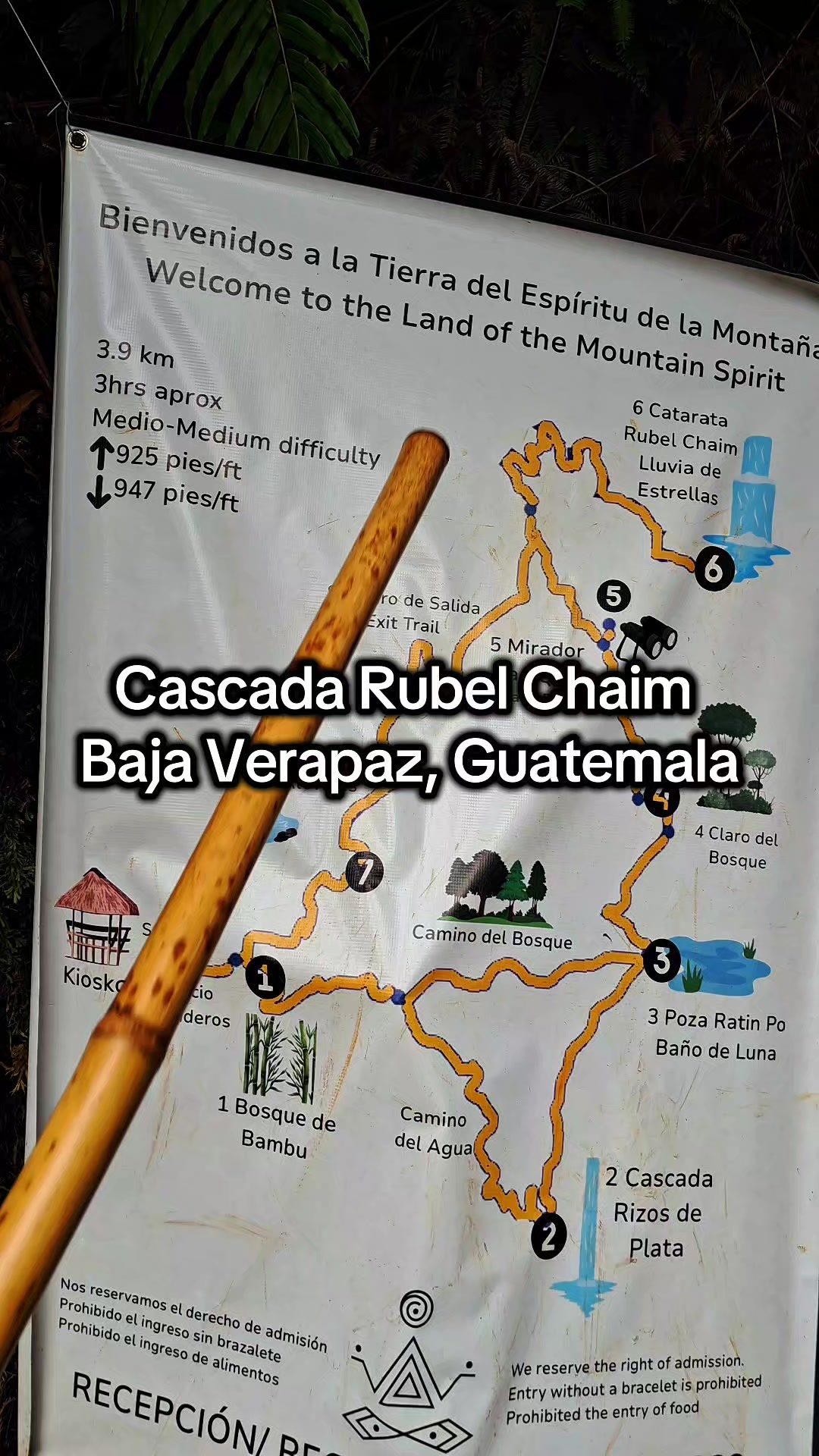 @Amner Rodríguez