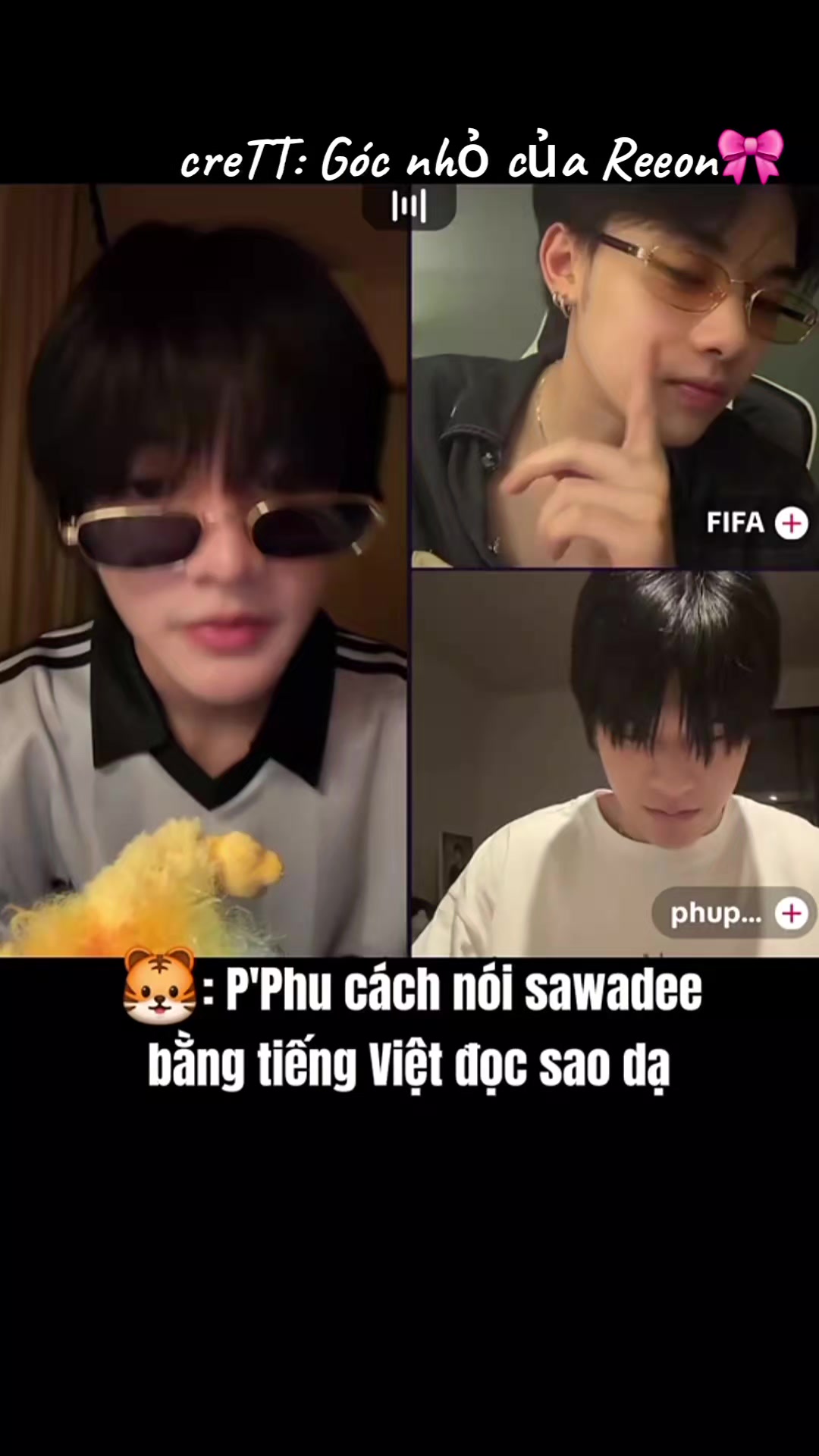 @ʀɛɛօռռ ฅ՞&bull;ﻌ&bull;՞ฅ (🐯)