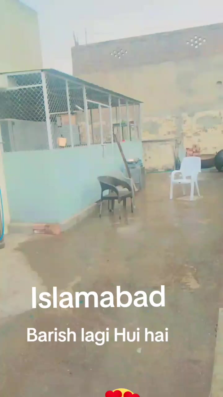 @Samar Ali 2094