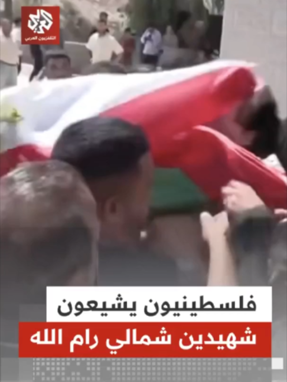 @التلفزيون العربي
