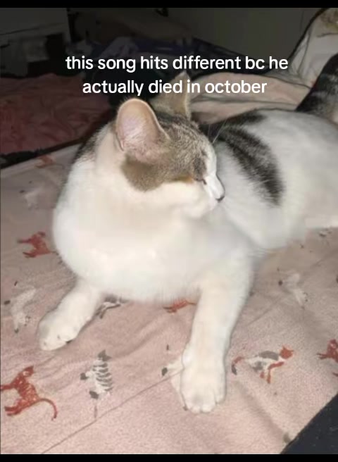 @♡☆𝓜𝓲𝓭𝓷𝓲𝓰𝓱𝓽☆♡