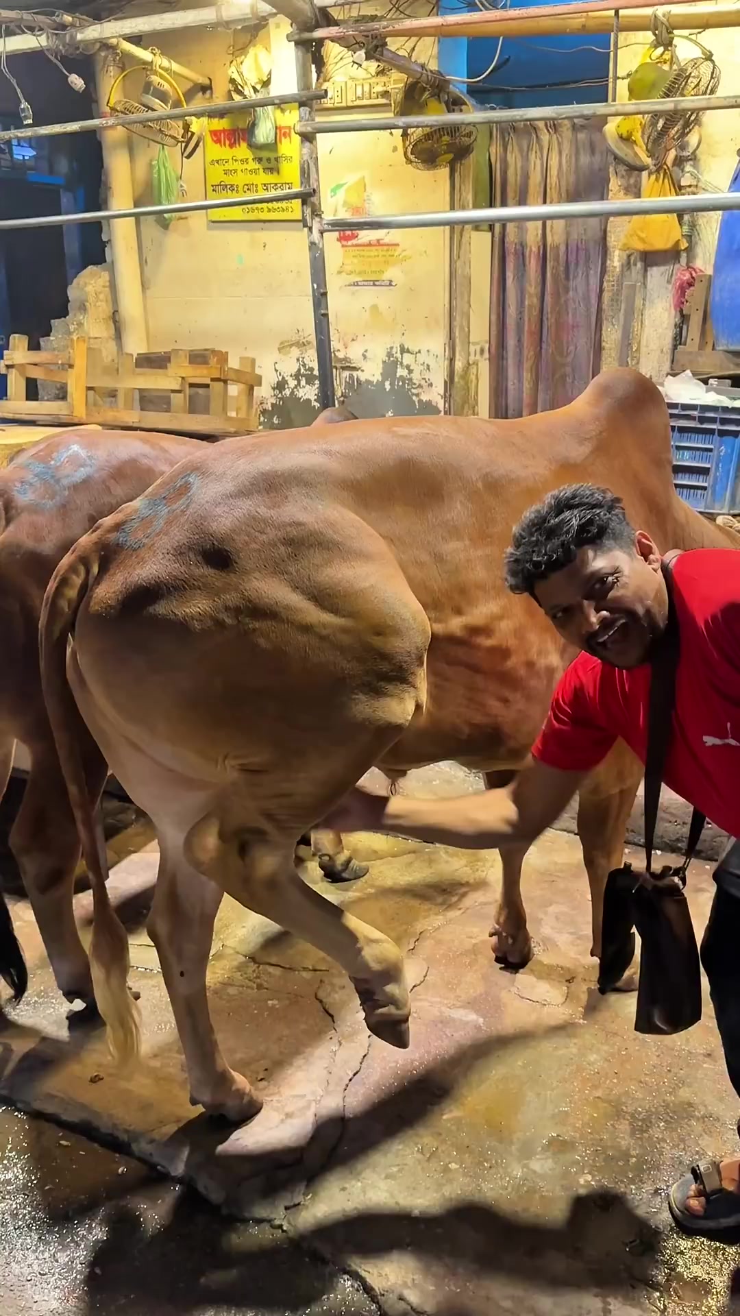 @গরুর ঘর🐄