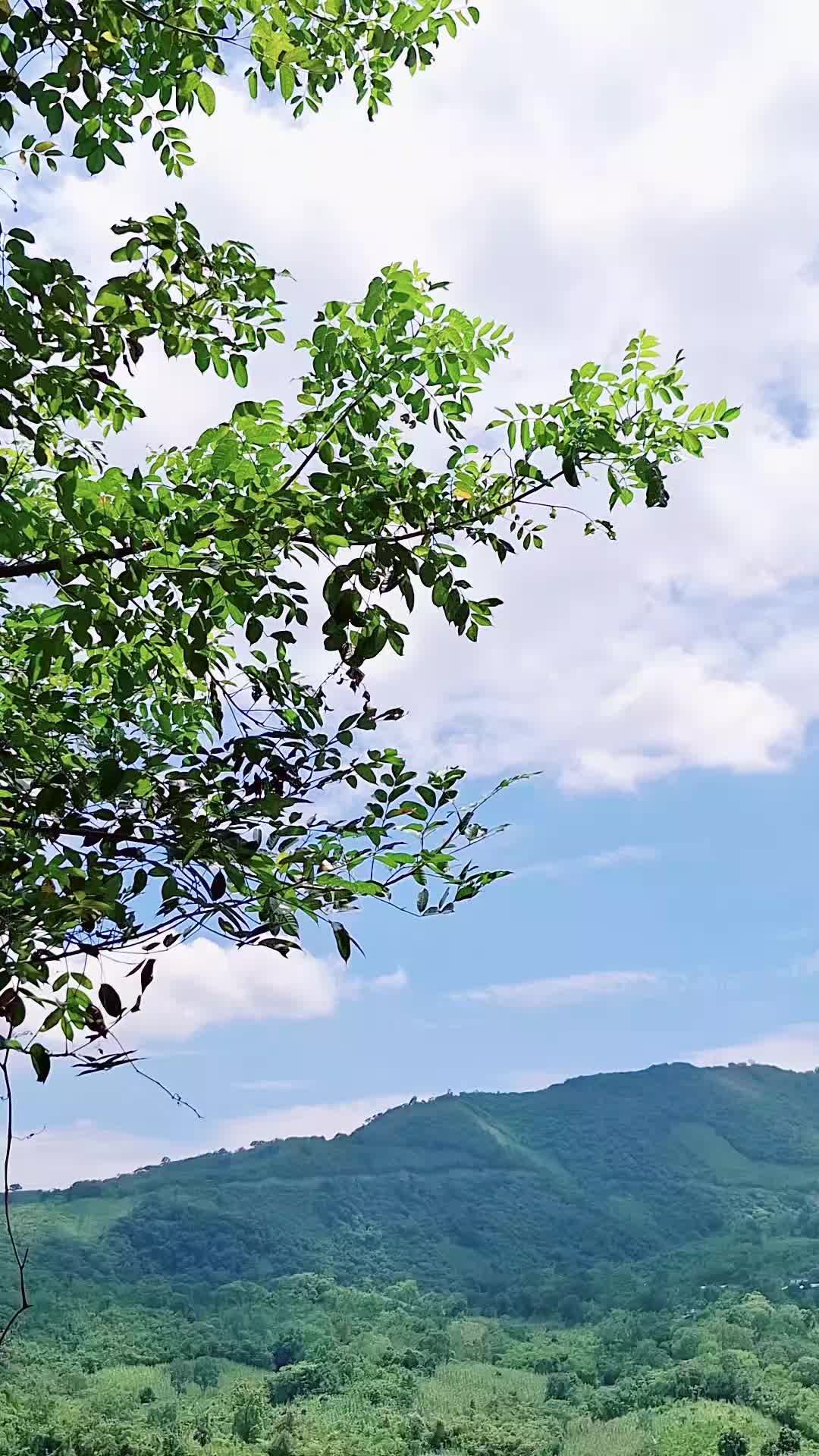 @Ana De La Cruz