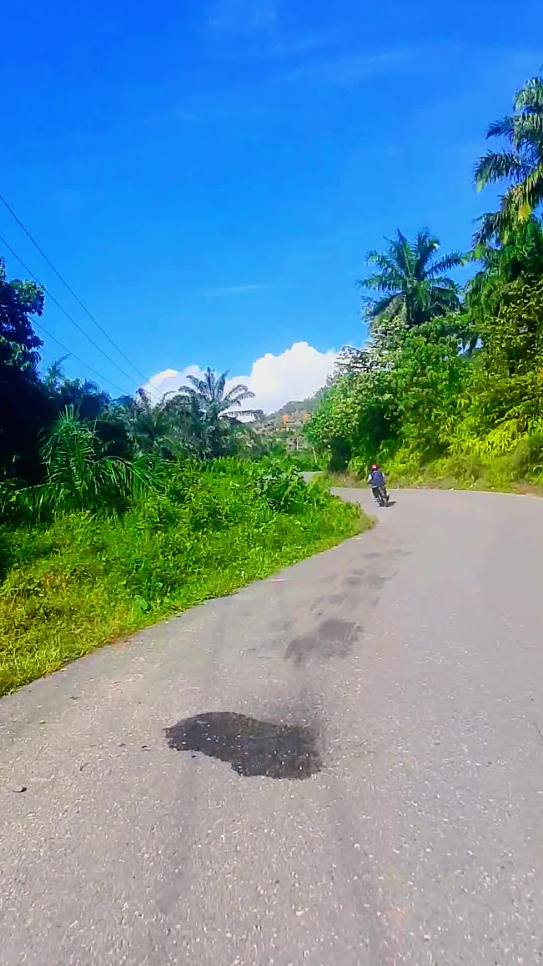 @dolifikri02