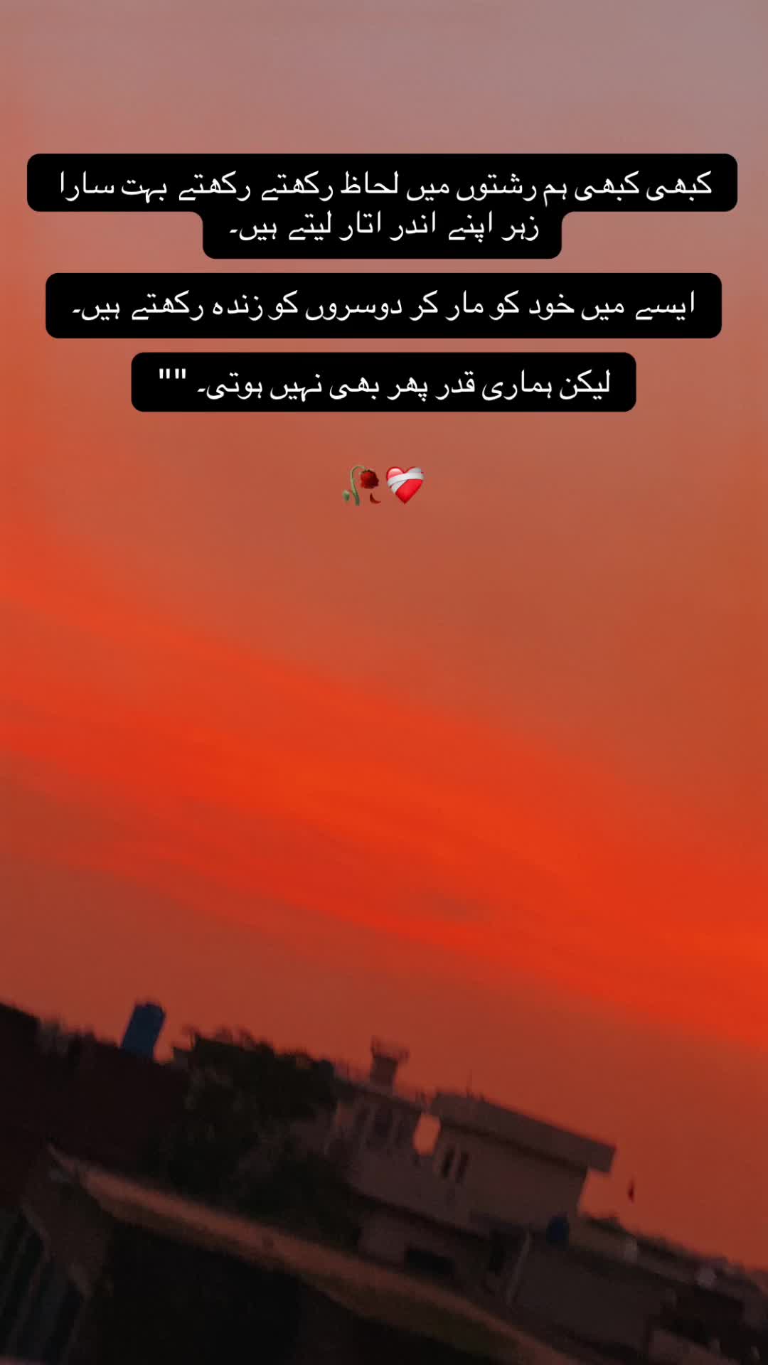 @iqman800