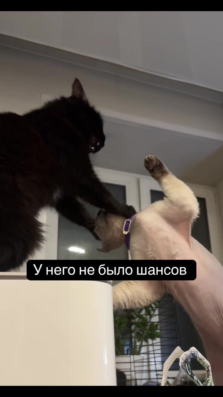 @Anita.ttoo