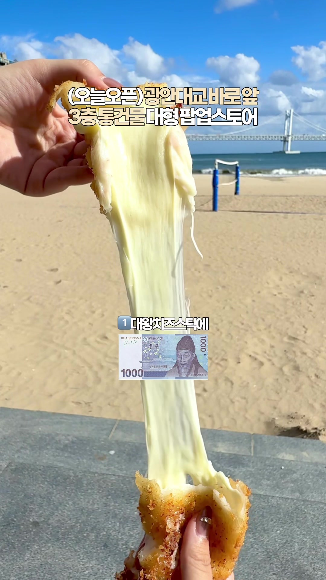 @지혜둥이 (부산맛집 부산핫플 부산여행)