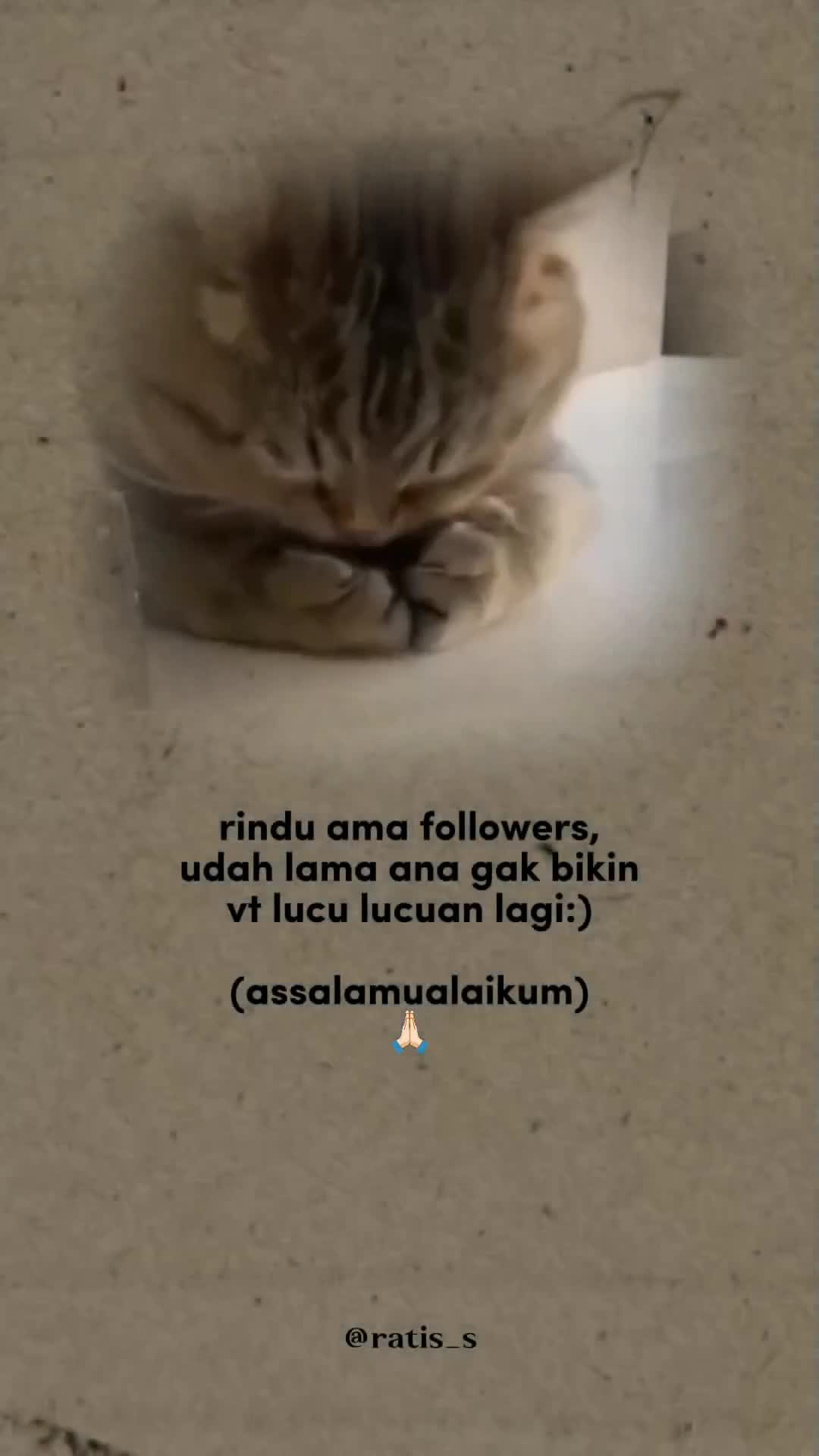 @ratsss