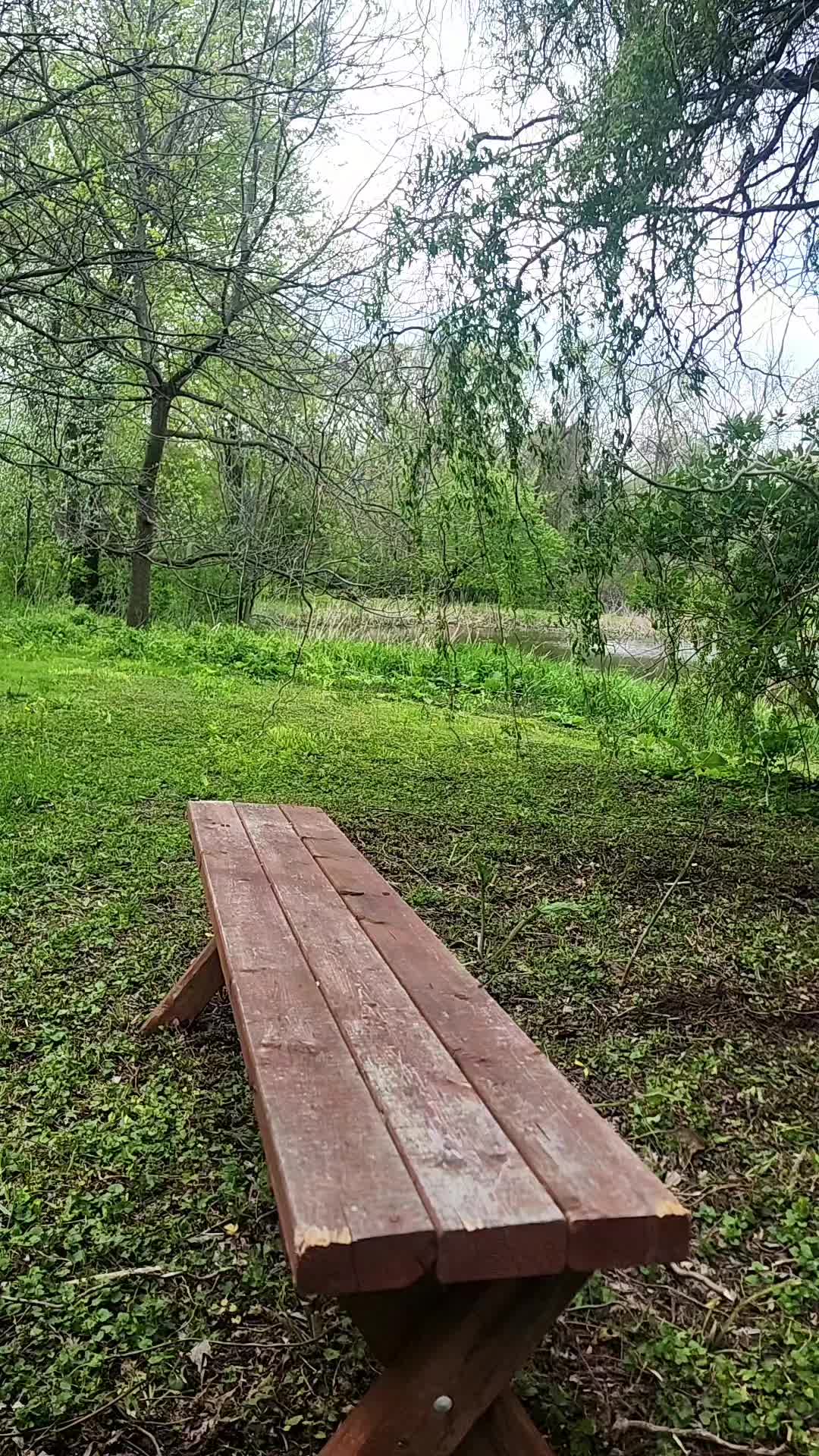 @_yogi_209