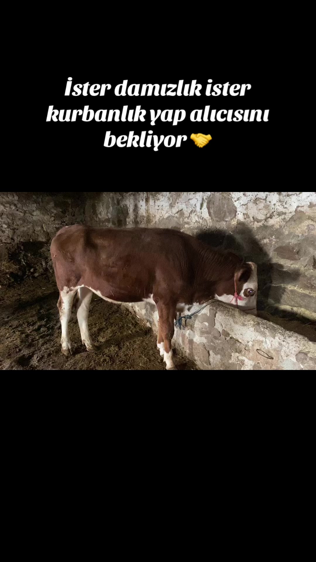 @ Recep Karaçam 