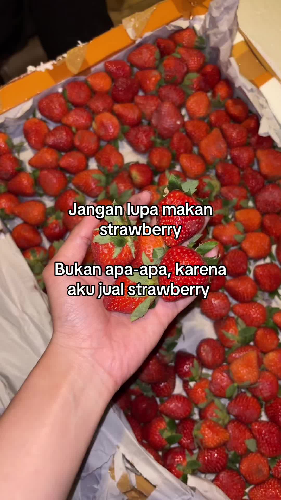 @fiiboy_