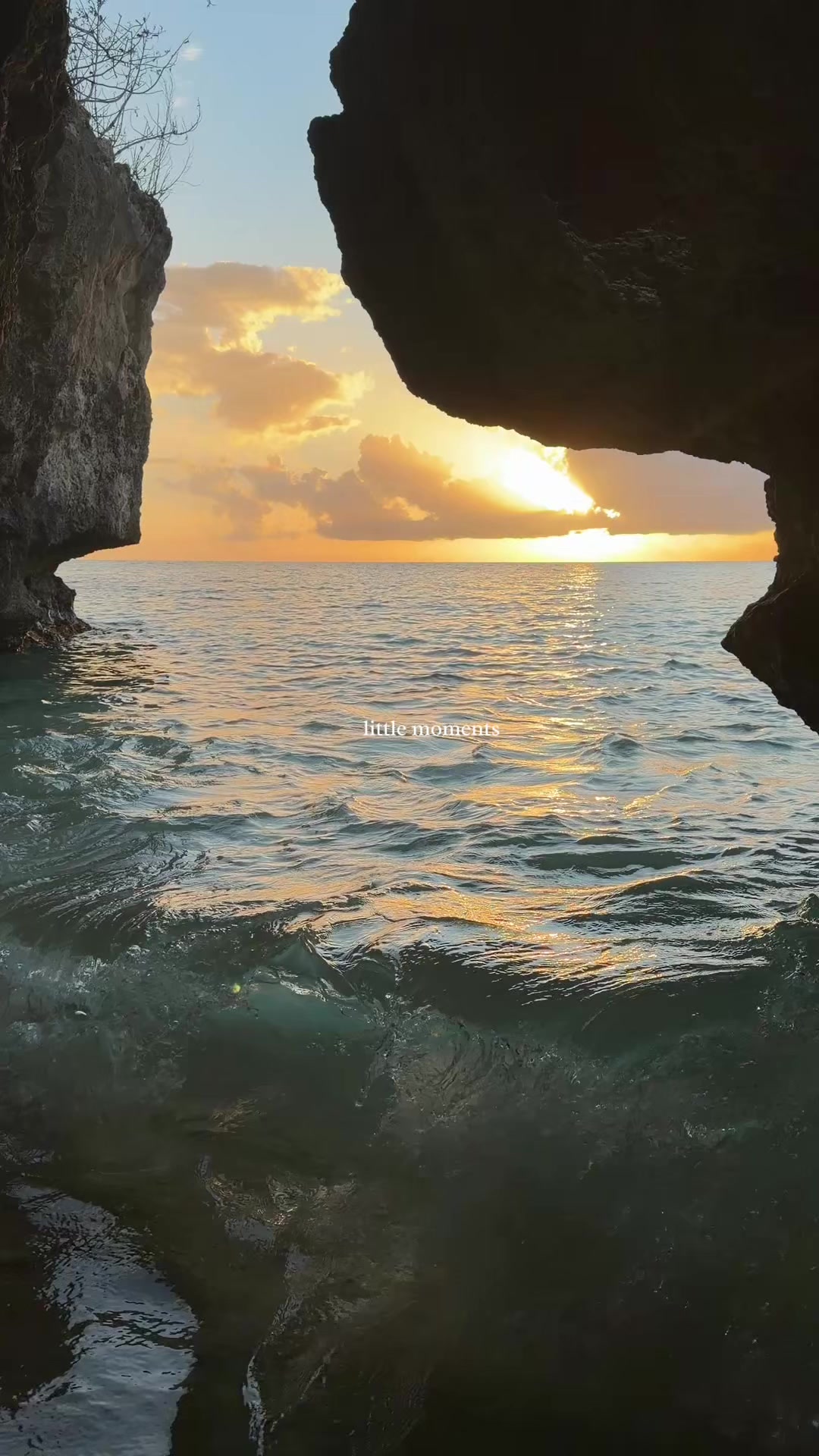 @torii.197