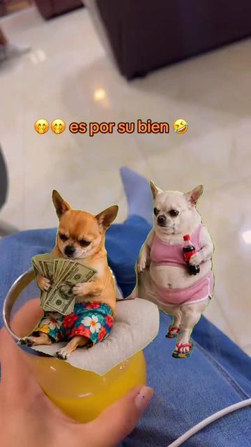 @🤍🖤SURAC.MD 😇🩷🩵💫