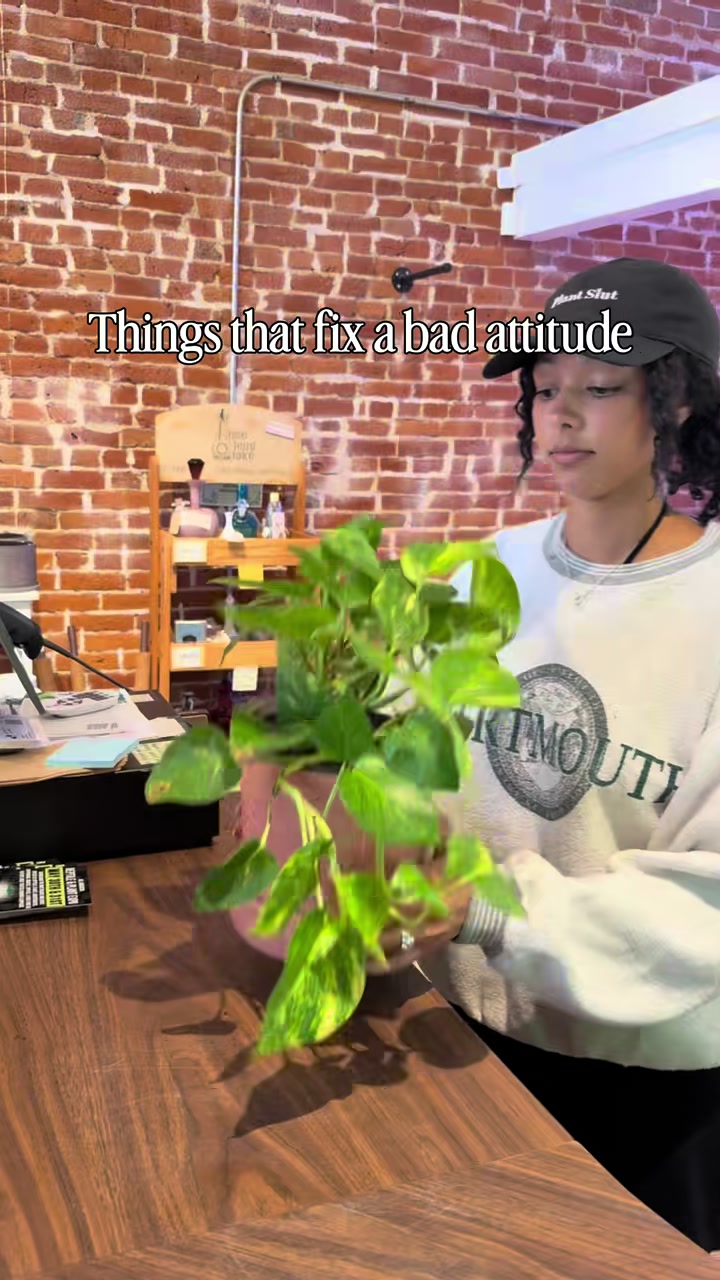 @Rootskc