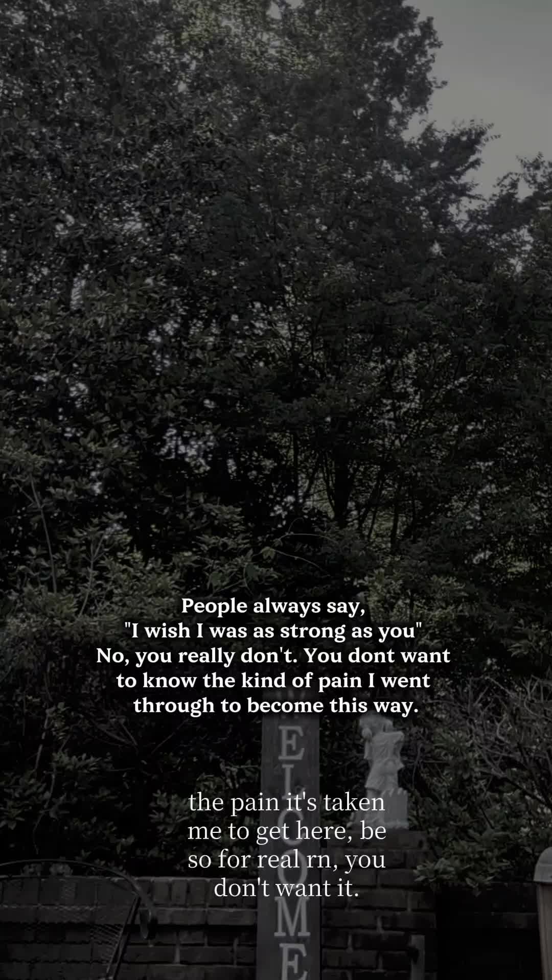 @~𝒦𝒶𝓉 ~