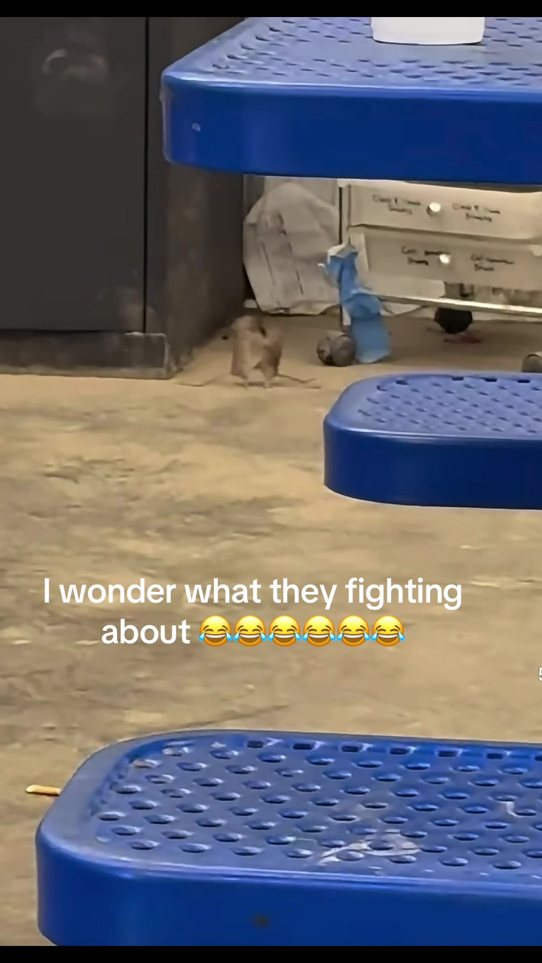 @615TIKTOKDADA2