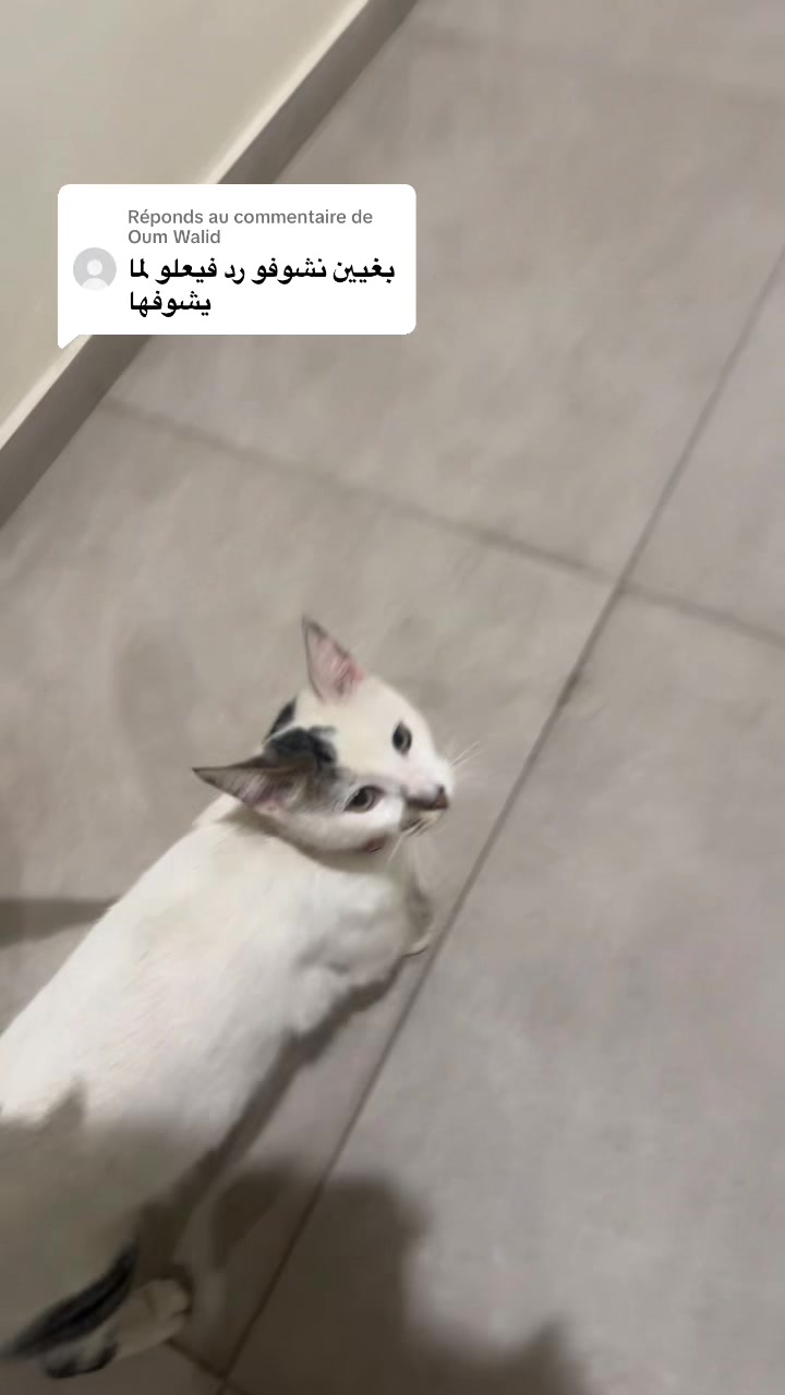 @Soukaina مينوش