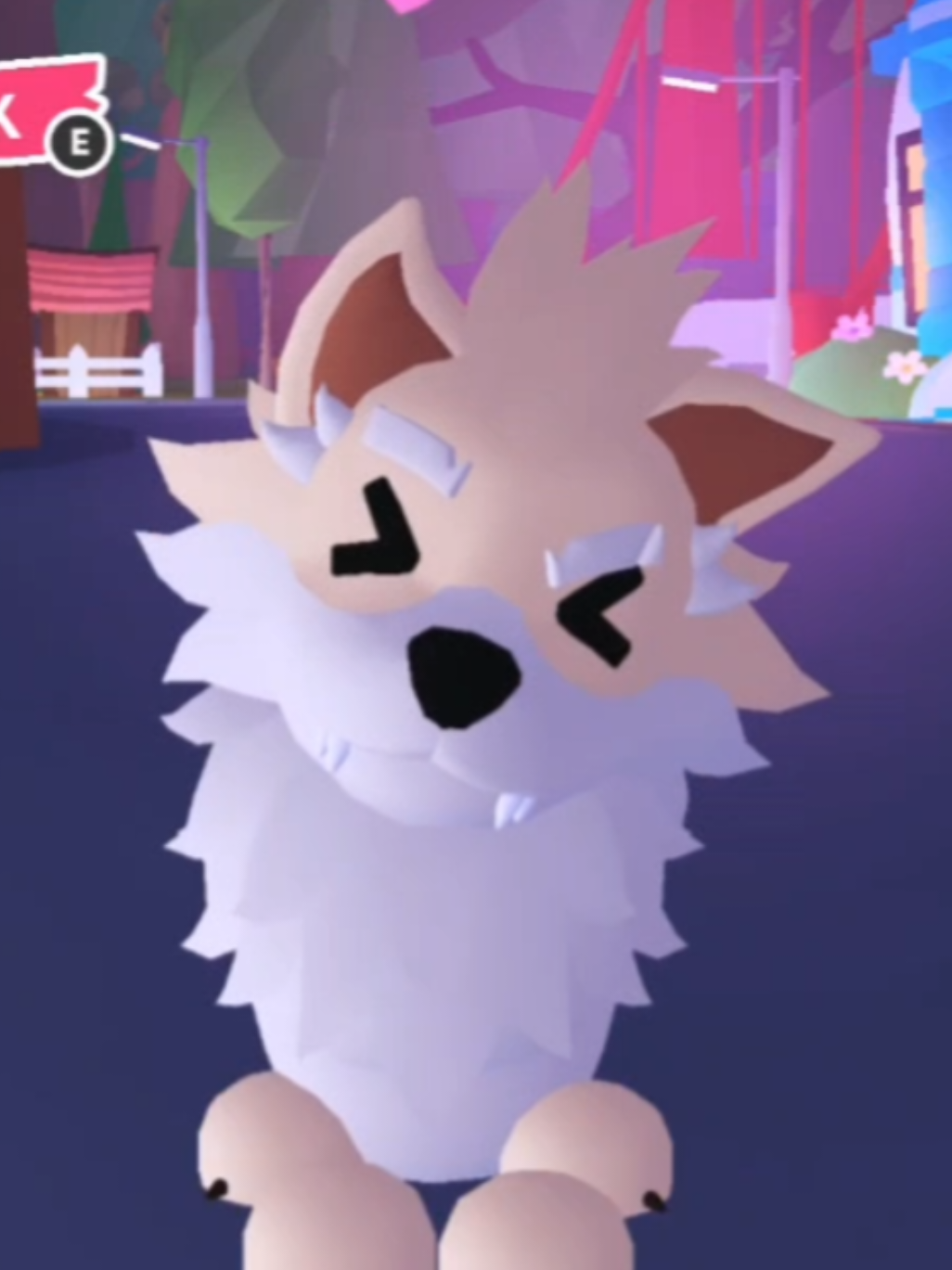 @✧ ◦ 𝓢 𝓗 𝓨 𓅿 ∘ ✧