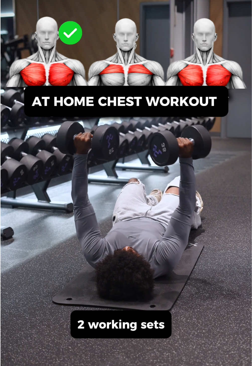 @Gymbro001 | Fix Your Workouts