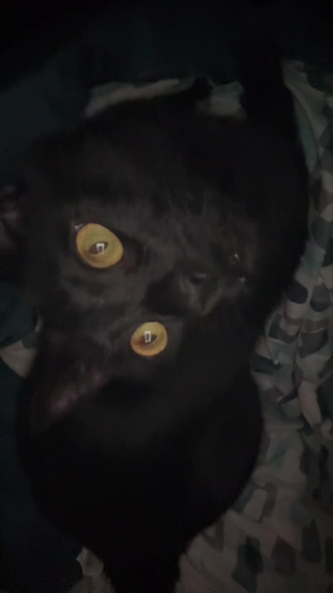@bladee