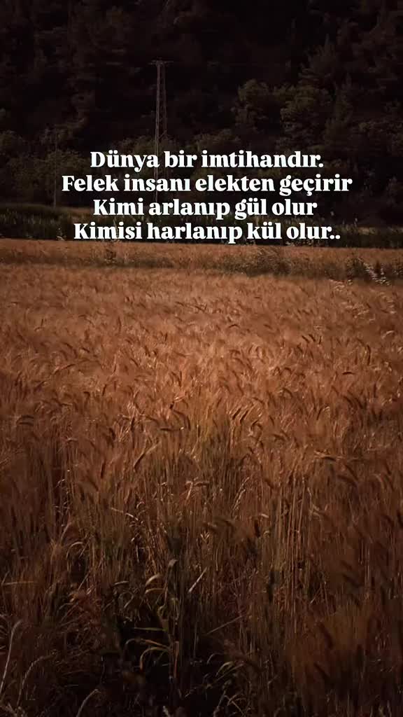 @Burhan Olhan
