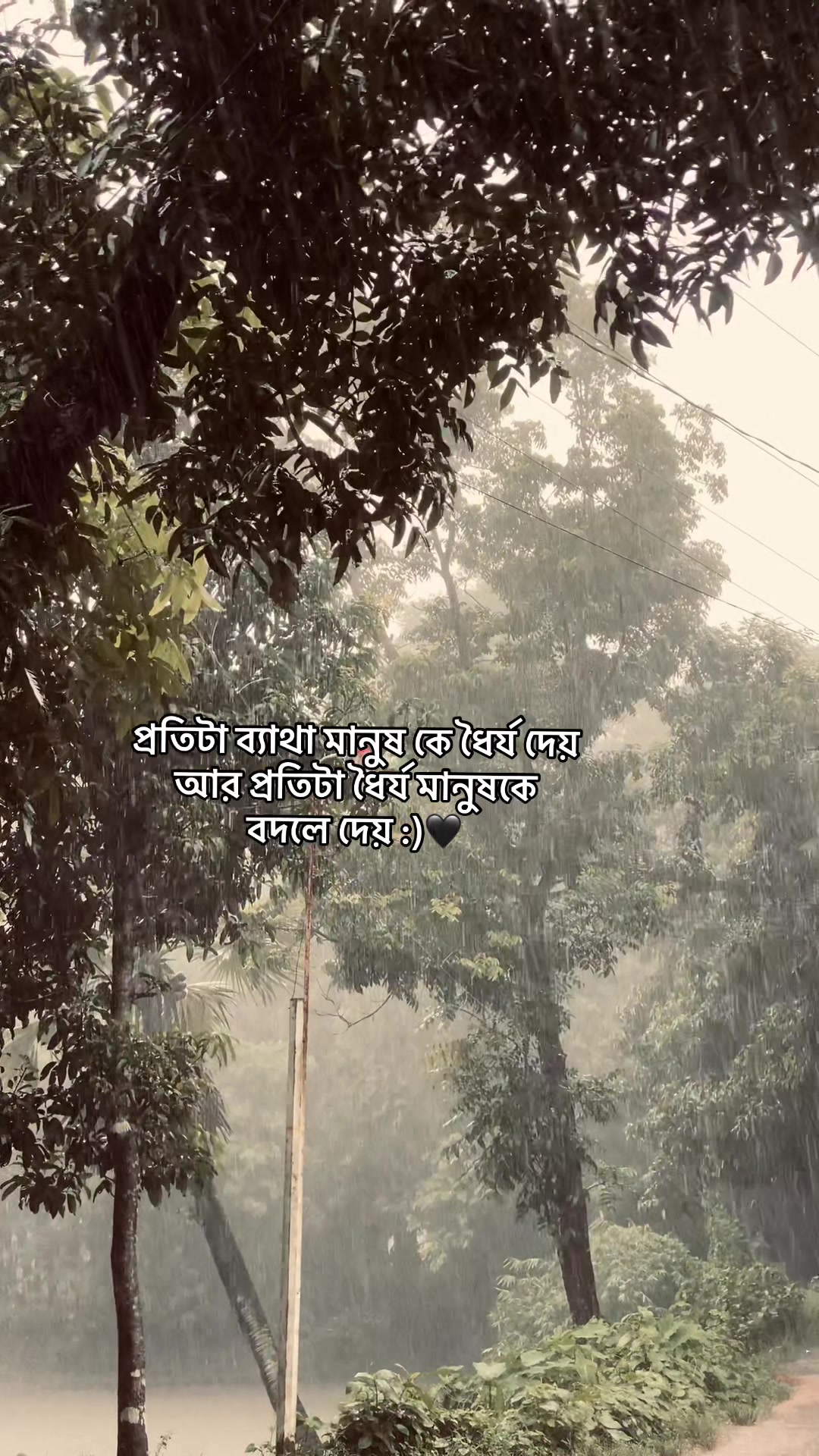@_নিখোঁজ_