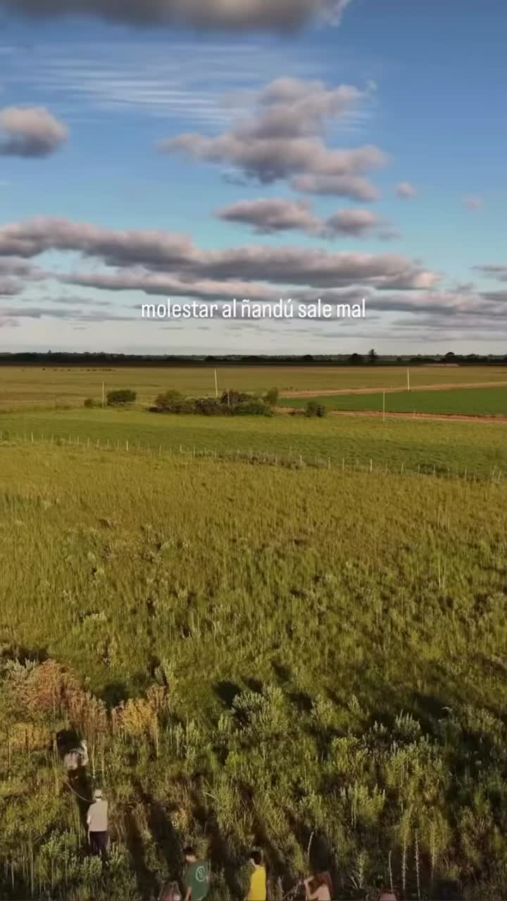 @nahuelapicq