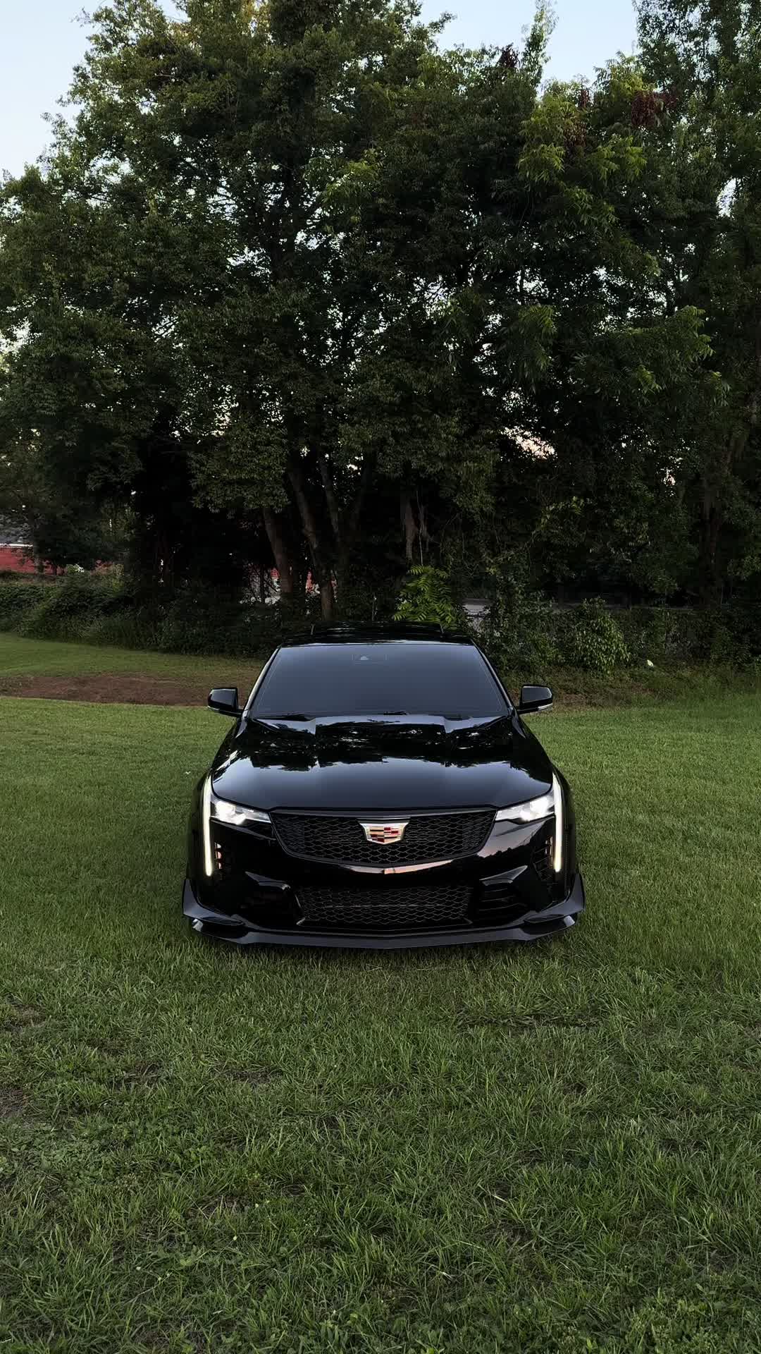 @blackoutt.v 🦇
