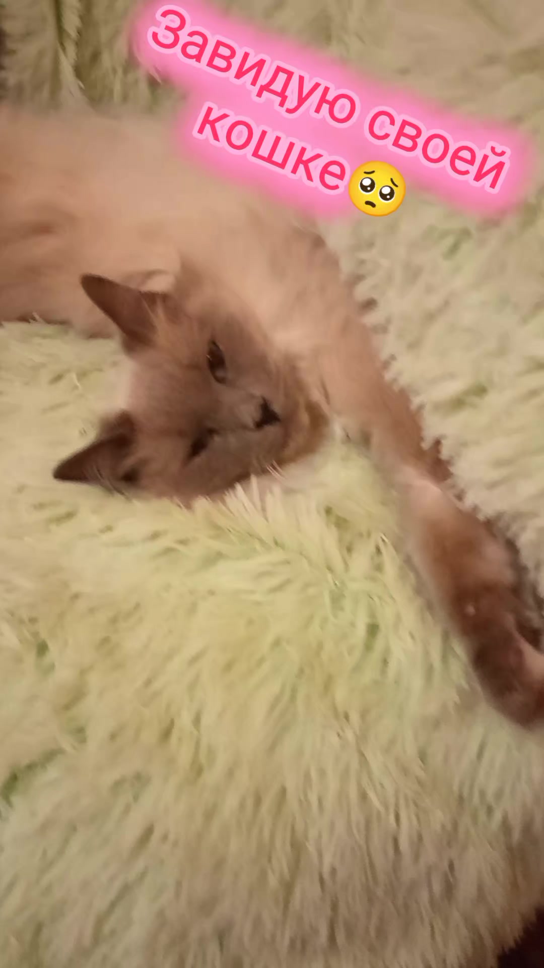 @Кисюля